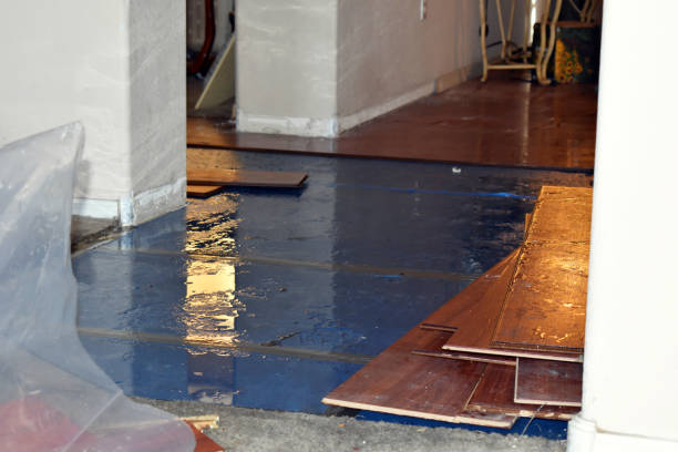 Professional Water Damage technician working in Bow, WA